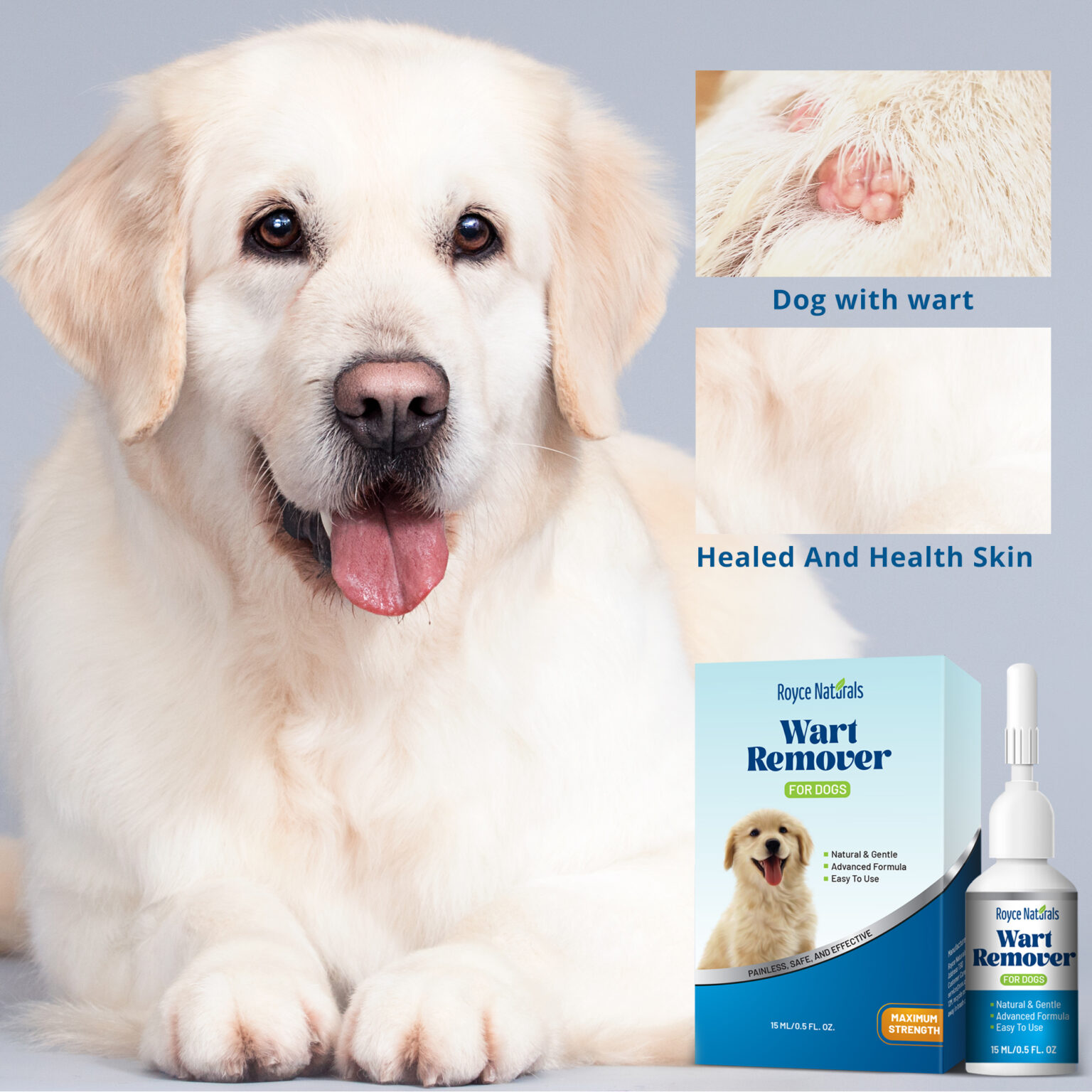 Dog Wart Remover, Natural Dog Wart Removal Treatment, Rapidly